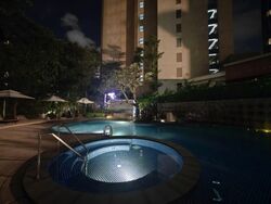 The Ritz-Carlton  (D9), Condominium #571815361